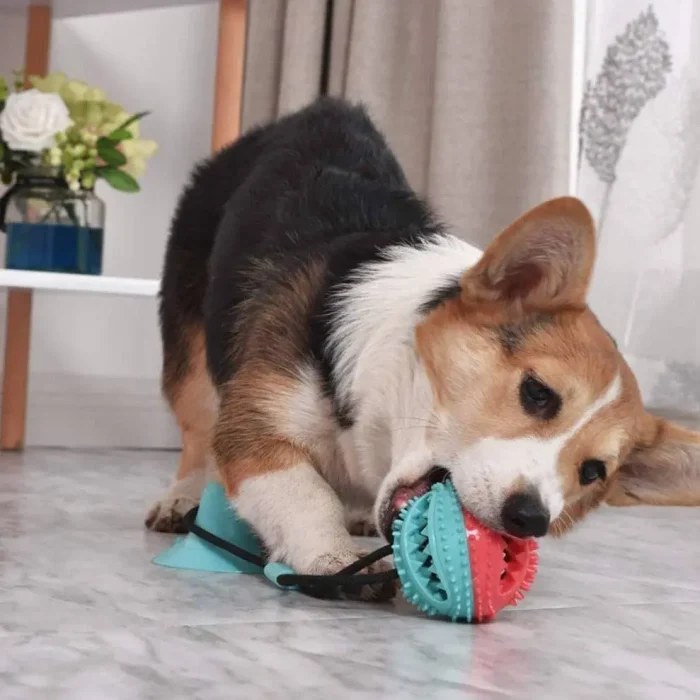 Treat Dispensing Dog Pull Toy - Image 3