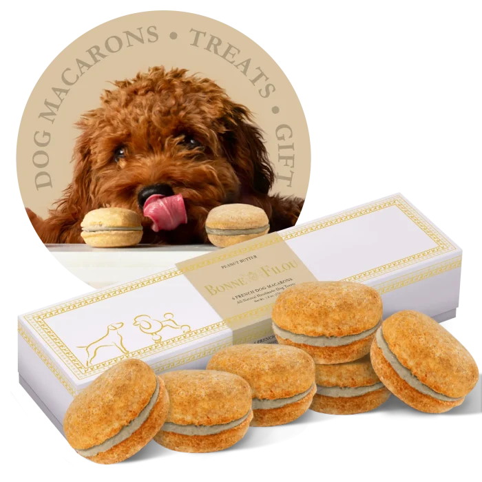 Dog Macarons (Box of 6) - Image 6