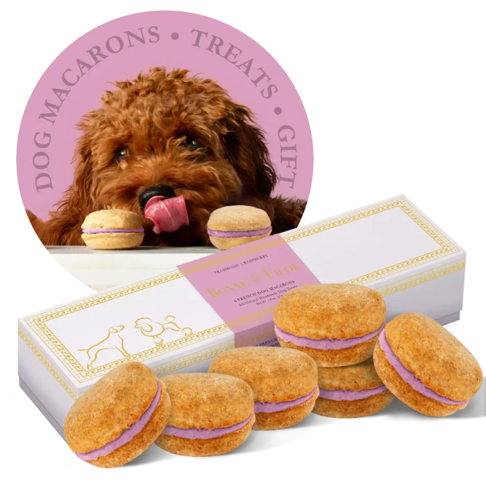 Dog Macarons (Box of 6) - Image 7