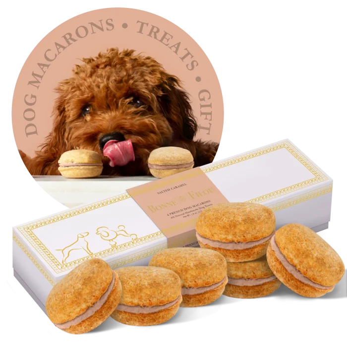 Dog Macarons (Box of 6) - Image 11