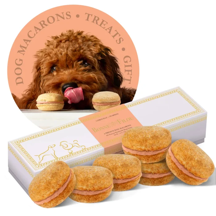 Dog Macarons (Box of 6) - Image 5