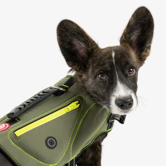 Khaki Neoprene Dog Life Jacket Safe & Stylish Buoyancy Vest